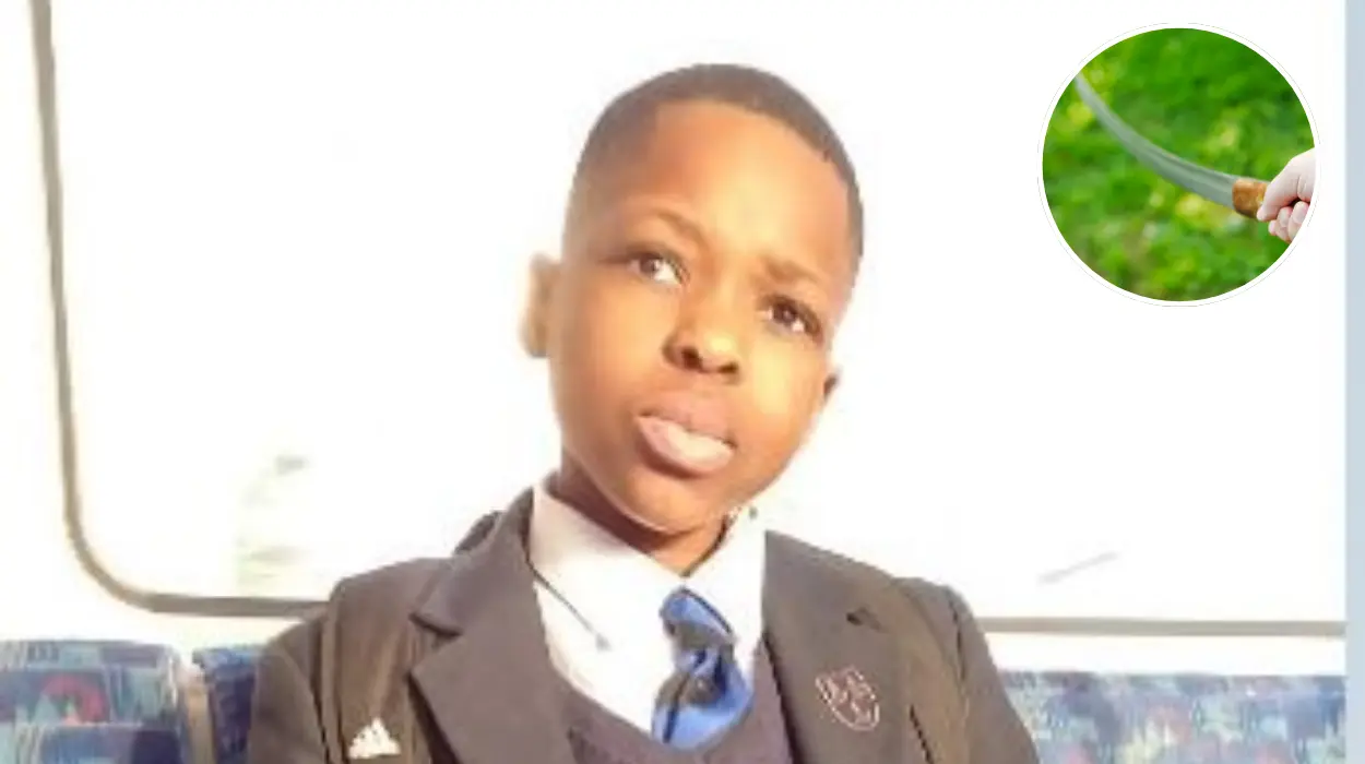 Man denies murdering 14-year-old Daniel Anjorin during alleged sword attack in east London