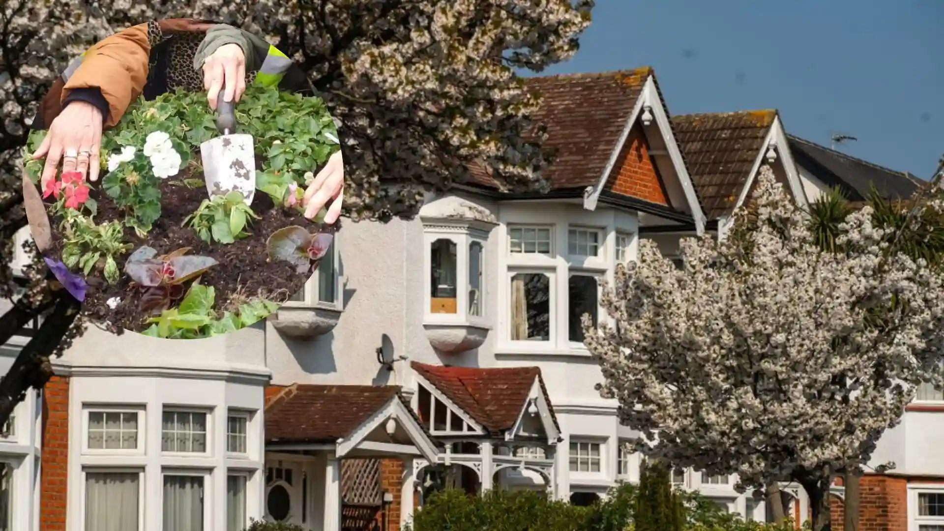 Redbridge Agricultural Smell Complaints Linked to Barking Farm