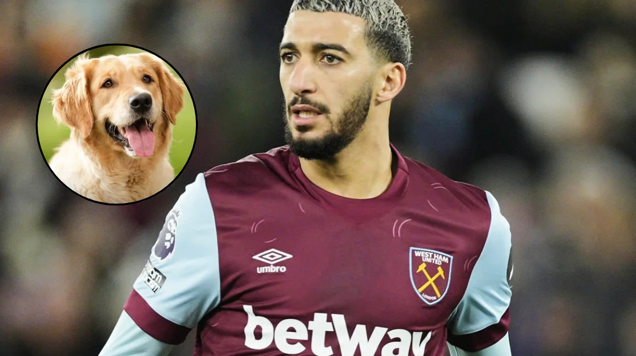 Said Benrahma Fined for XL Bully Dogs’ East London Attack